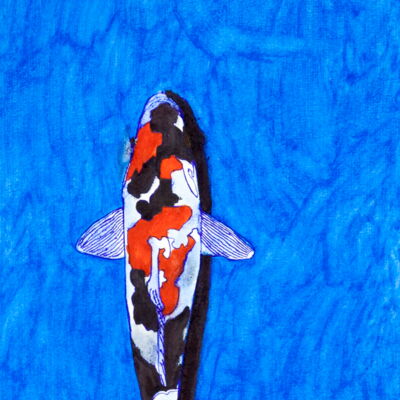 Peter Coleman: Koi