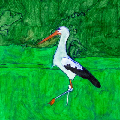 Peter Coleman: Storch