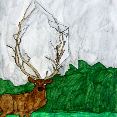 Peter Coleman: Hirsch