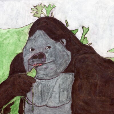 Peter Coleman: Gorilla