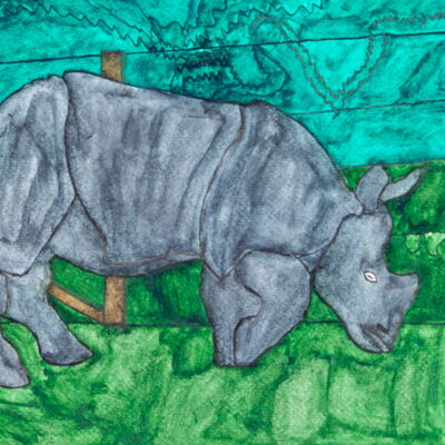 Peter Coleman: Nashorn